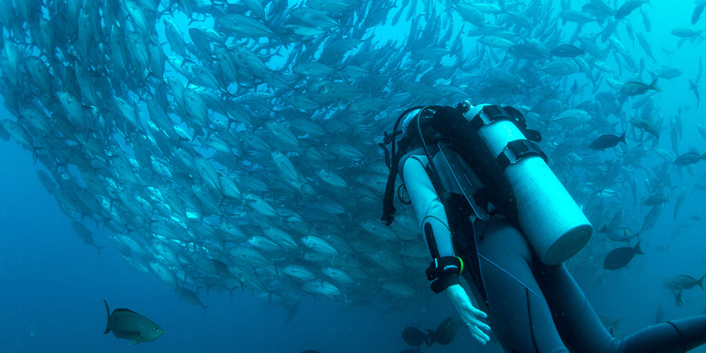 Underwater Inspiration for When You’re Stuck Topside