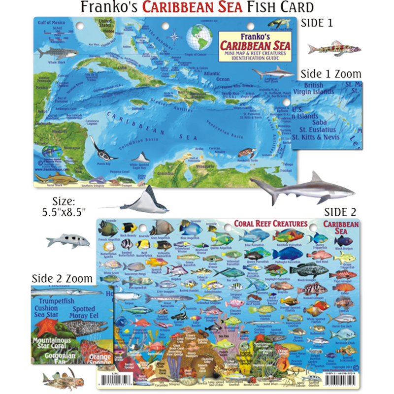 Franko Maps Caribbean Sea Coral Reef Creature Guide 5.5 X 8.5 Inch